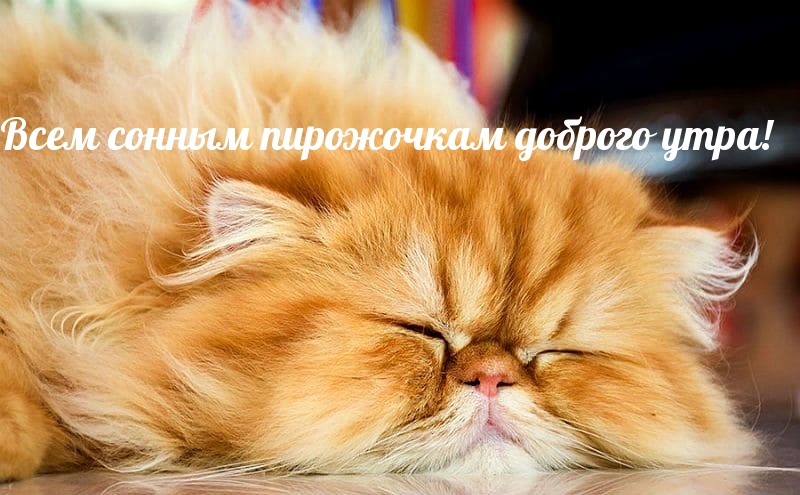 Всем сонным пирожочкам доброго утра!