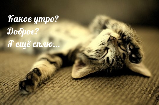 Какое утро? Доброе? Я ещё сплю…