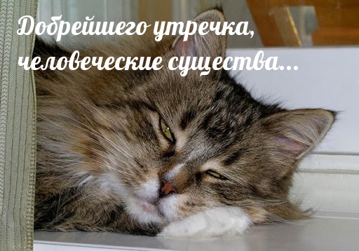 Добрейшего утречка, человеческие существа…