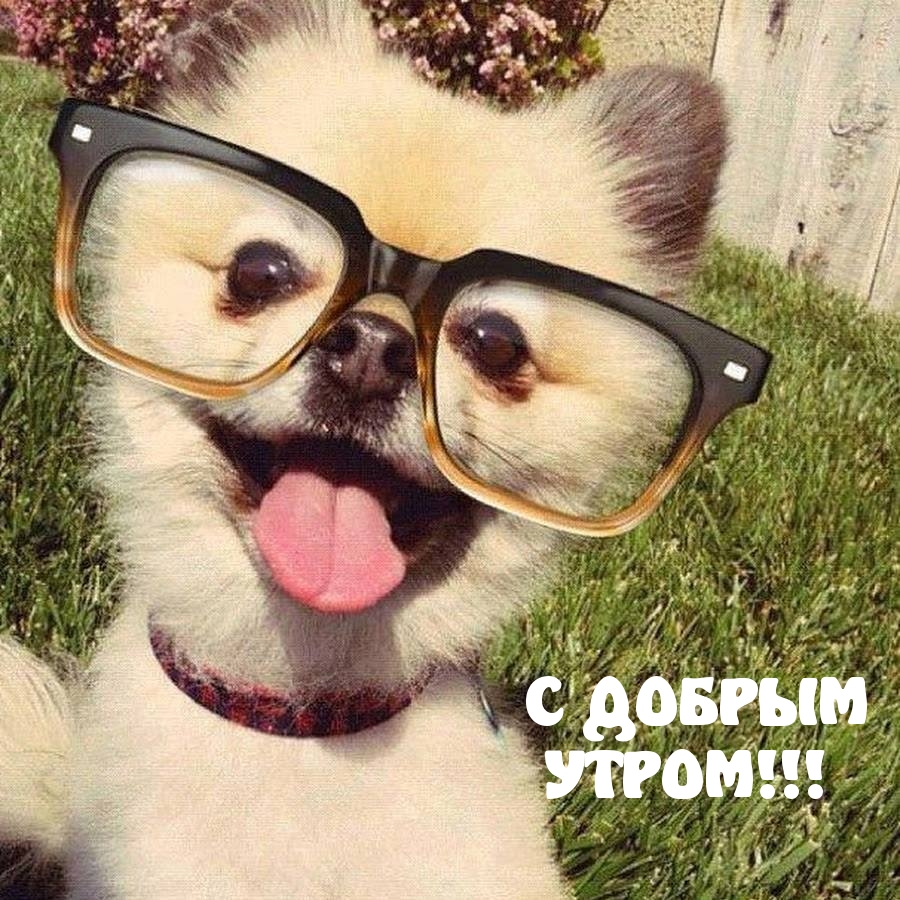 С ДОБРЫМ УТРОМ!