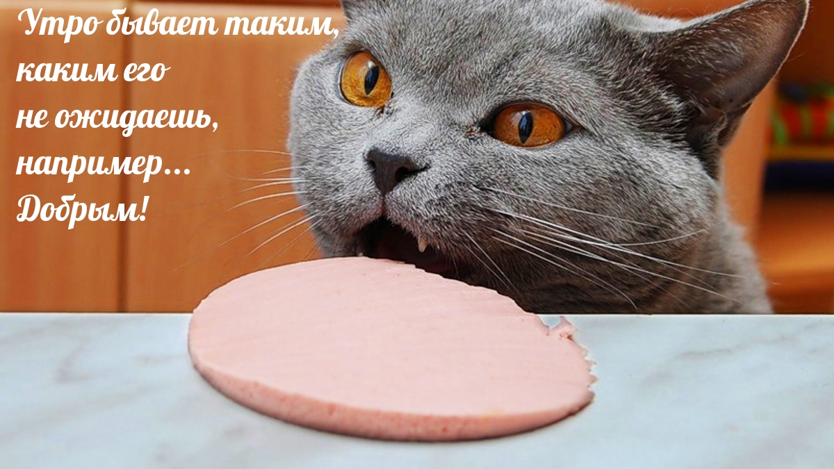 Утро бывает добрым!)