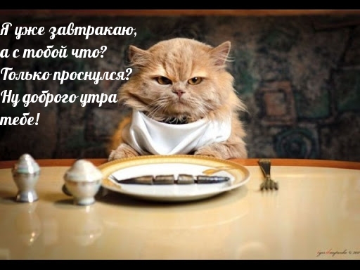 Только проснулся? Ну доброго утра тебе!