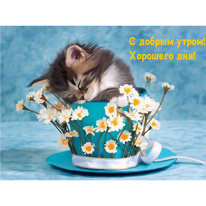 С добрым утром! Хорошего дня!