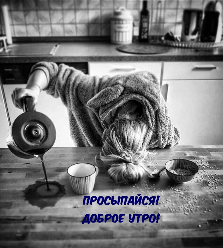 Просыпайся! Доброе утро!