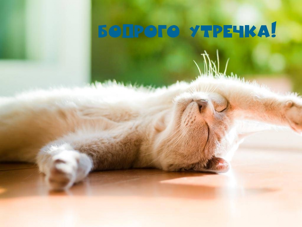 Бодрого утречка!