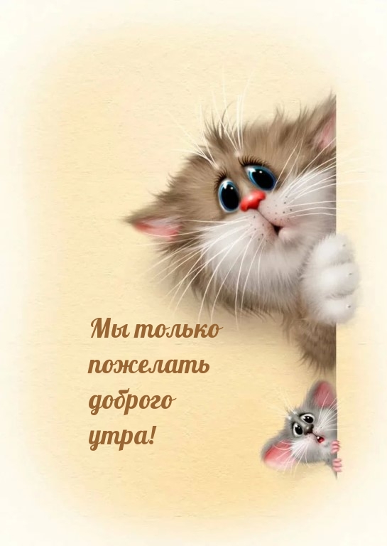Мы только пожелать доброго утра!