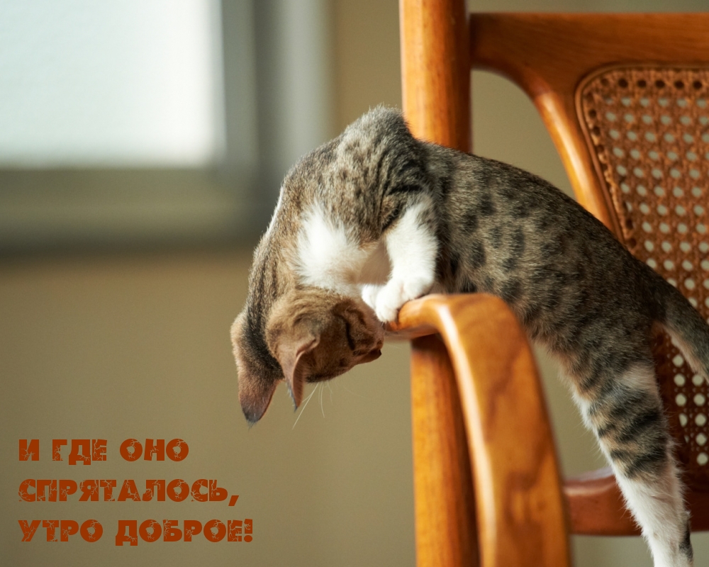 И где оно спряталось, утро доброе!