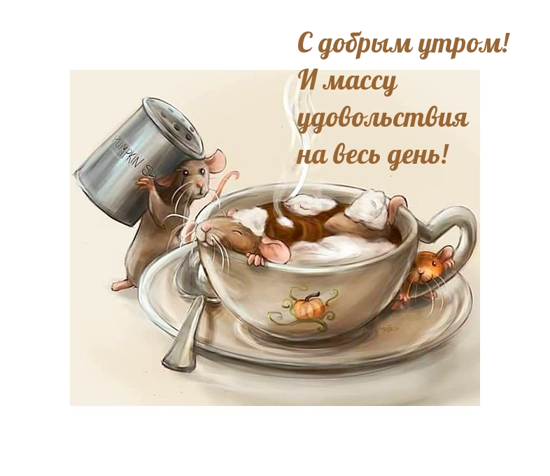 С добрым утром! И массу удовольствия на весь день!