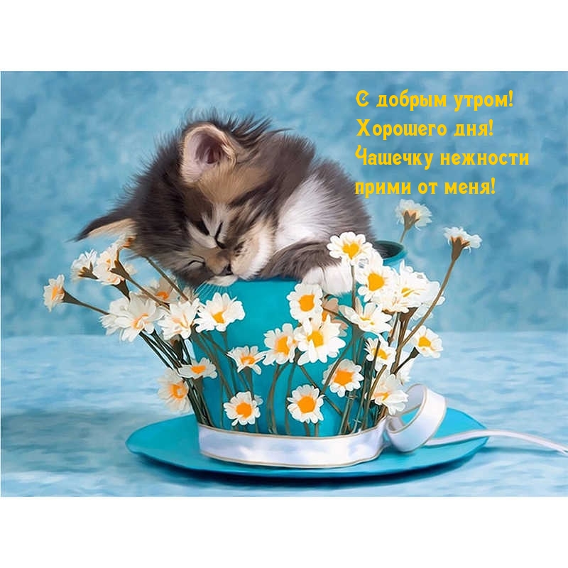 Чашечку нежности прими от меня!