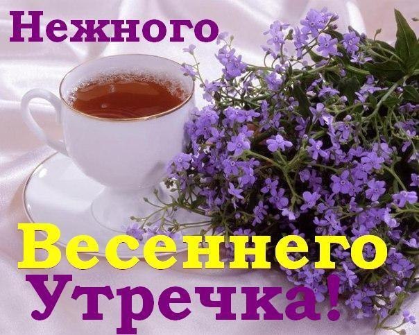 Нежного весеннего утречка!