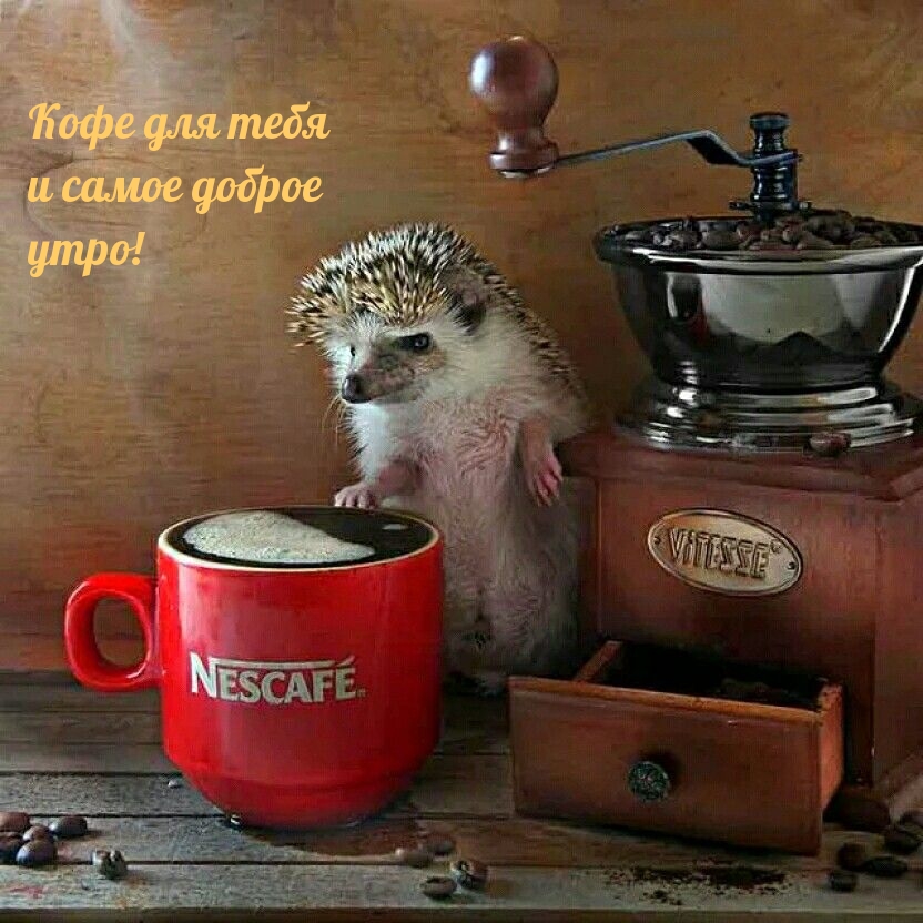 Кофе для тебя и самое доброе утро!