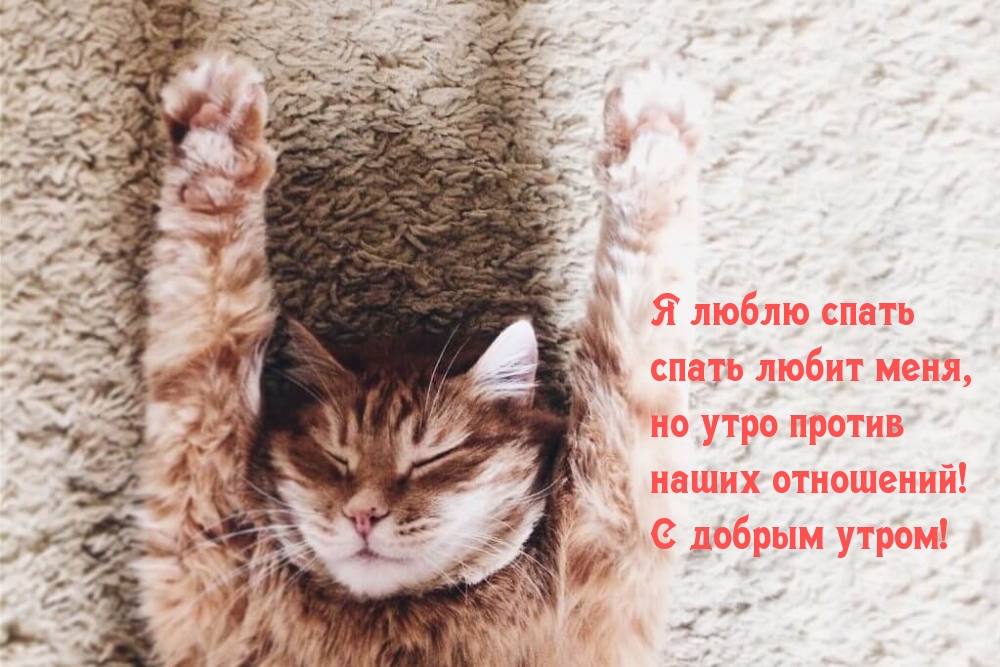 Я люблю спать! И спать любит меня)