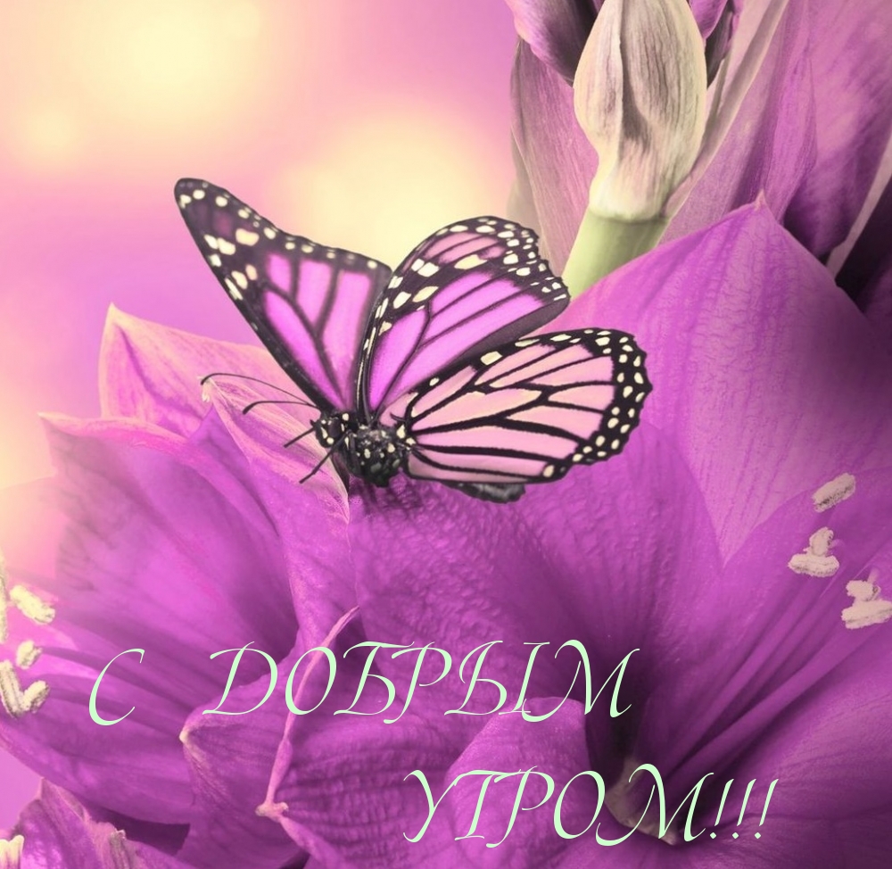 С ДОБРЫМ УТРОМ!