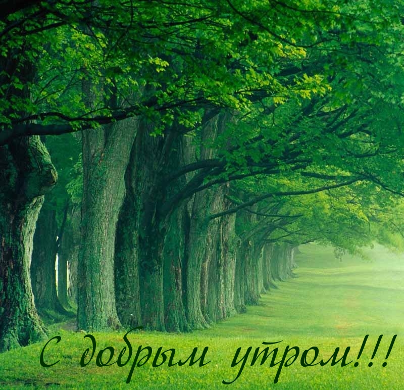 С добрым утром!