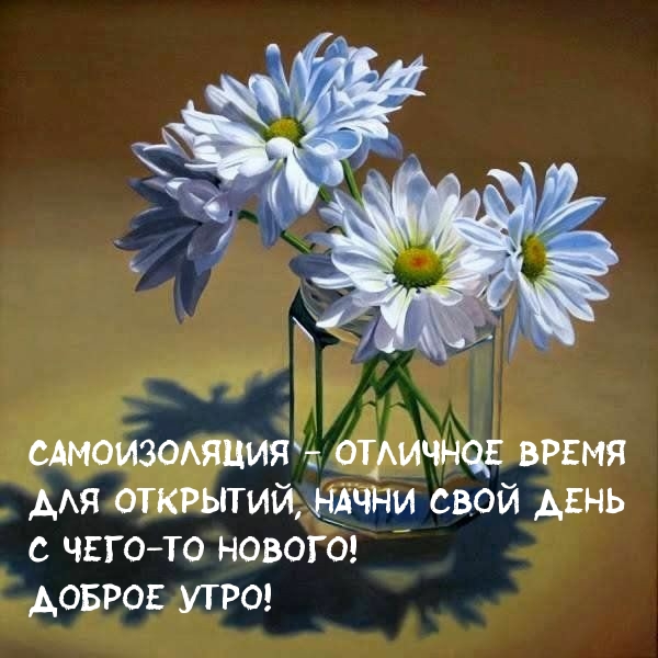 Самоизоляция — отличное время для открытий