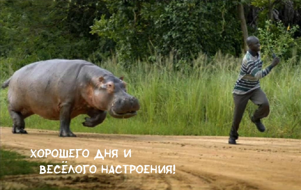 Хорошего дня и весёлого настроения!