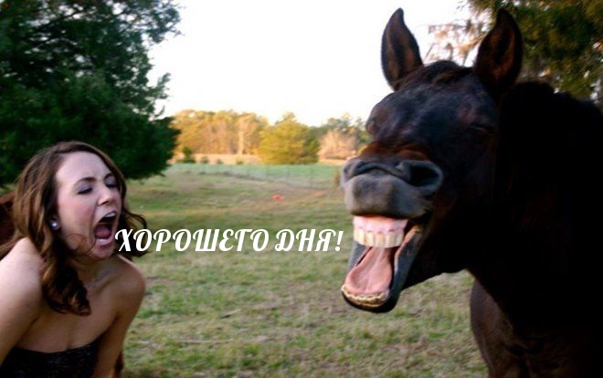 ХОРОШЕГО ДНЯ!