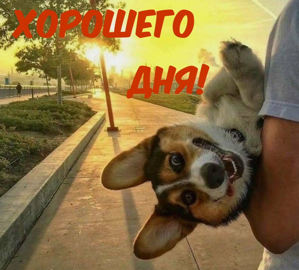 Картинка - Хорошего Дня!.