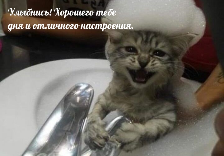 Улыбнись! Хорошего тебе дня и отличного настроения.