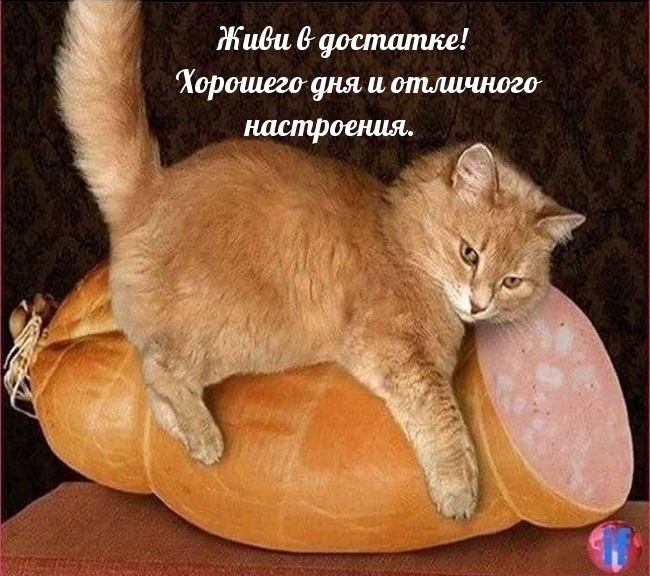 Живи в достатке! Хорошего дня и отличного настроения