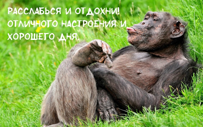 Расслабься и отдохни! Отличного настроения!