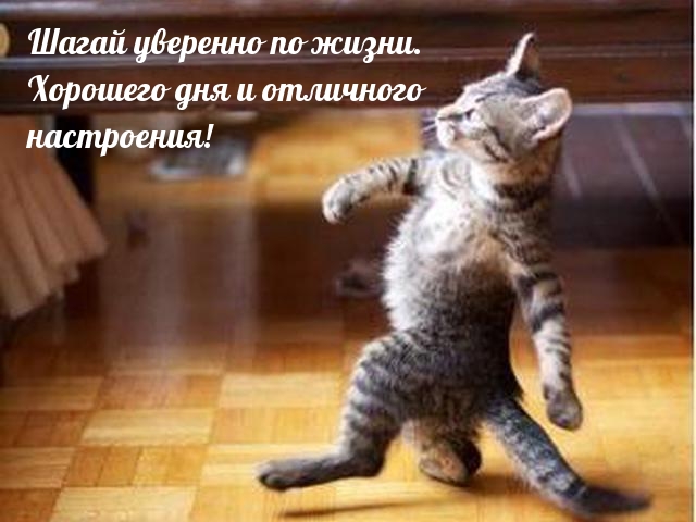 Шагай уверенно по жизни