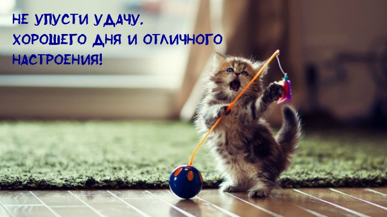 Не упусти удачу. Хорошего дня и отличного настроения!