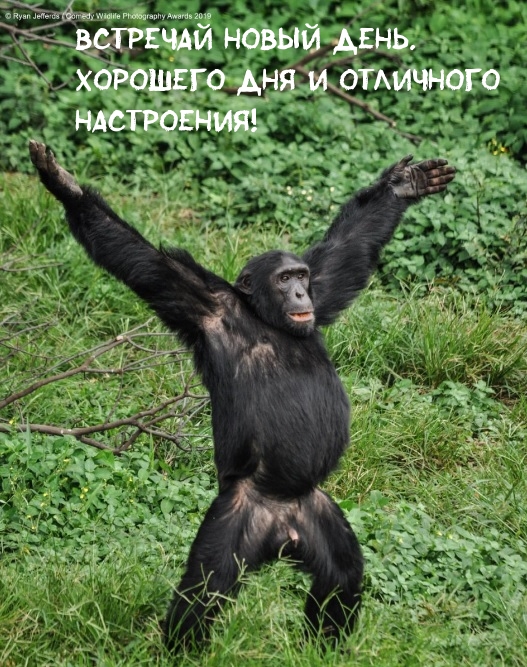 Встречай новый день!
