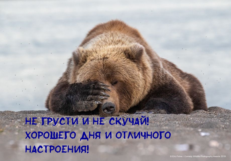 Не грусти и не скучай! Хорошего дня!