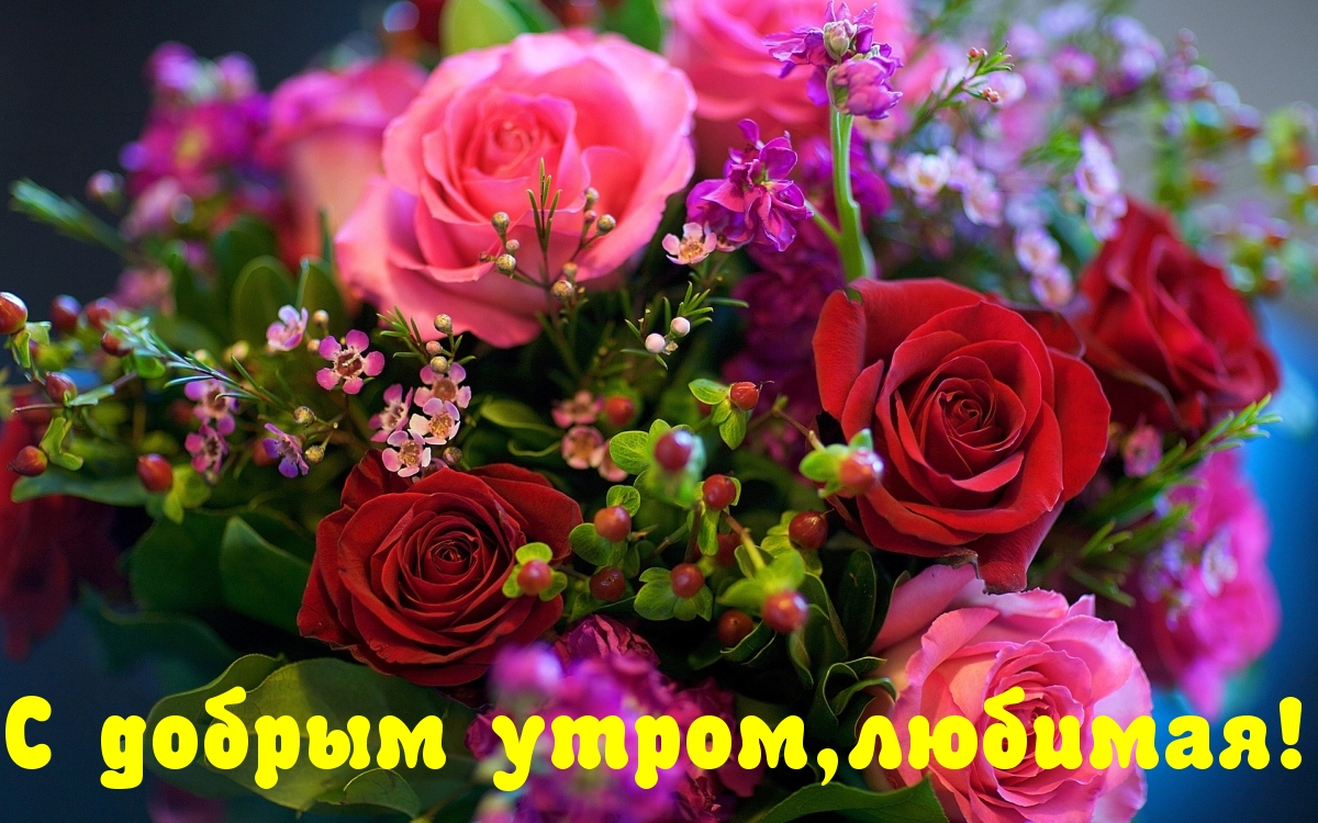 С добрым утром,любимая!