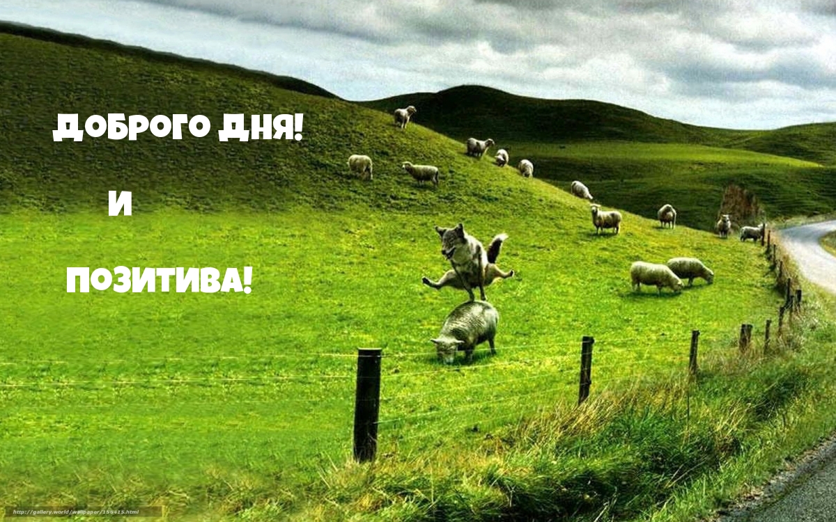 Доброго ДНЯ! И Позитива!