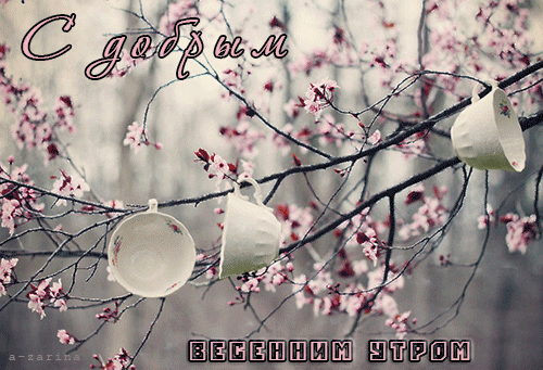 С добрым весенним утром