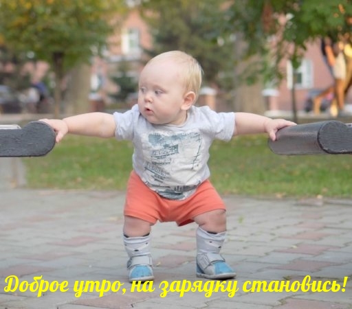 Доброе утро, на зарядку становись!