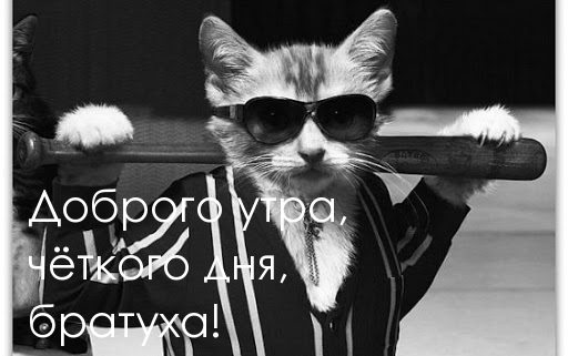 Доброго утра, чёткого дня, братуха!