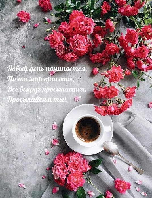 Всё вокруг просыпается, Просыпайся и ты!
