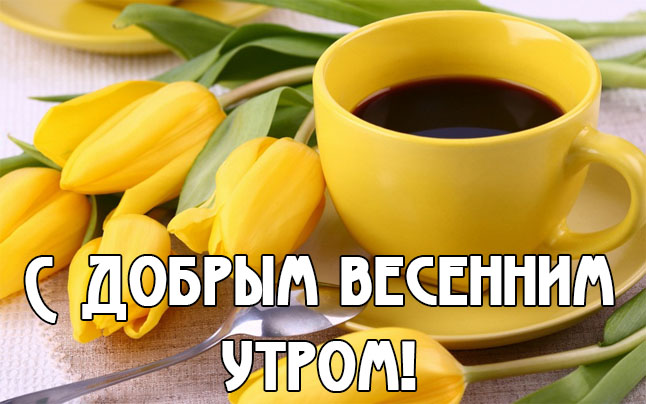 С добрым весенним утром!