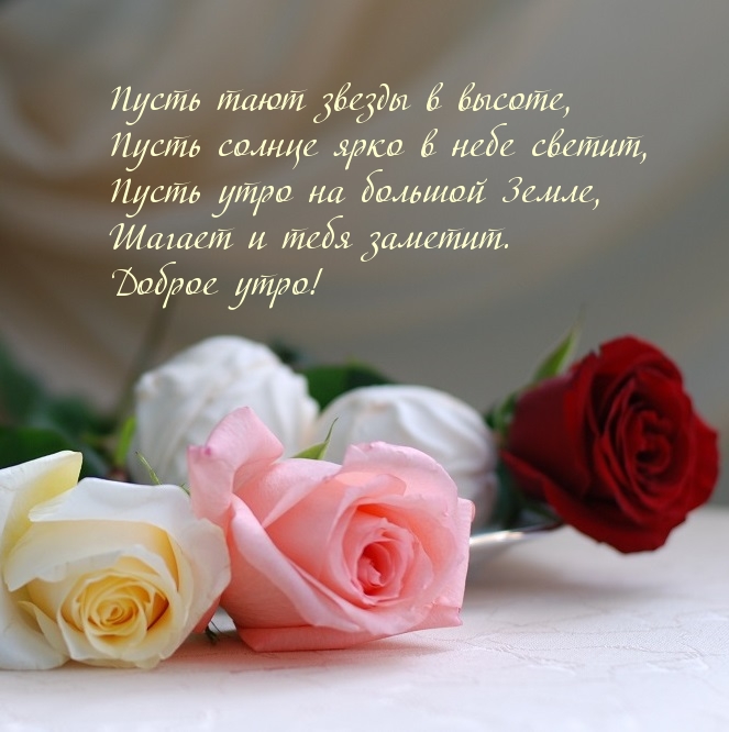 Пусть солнце ярко в небе светит!