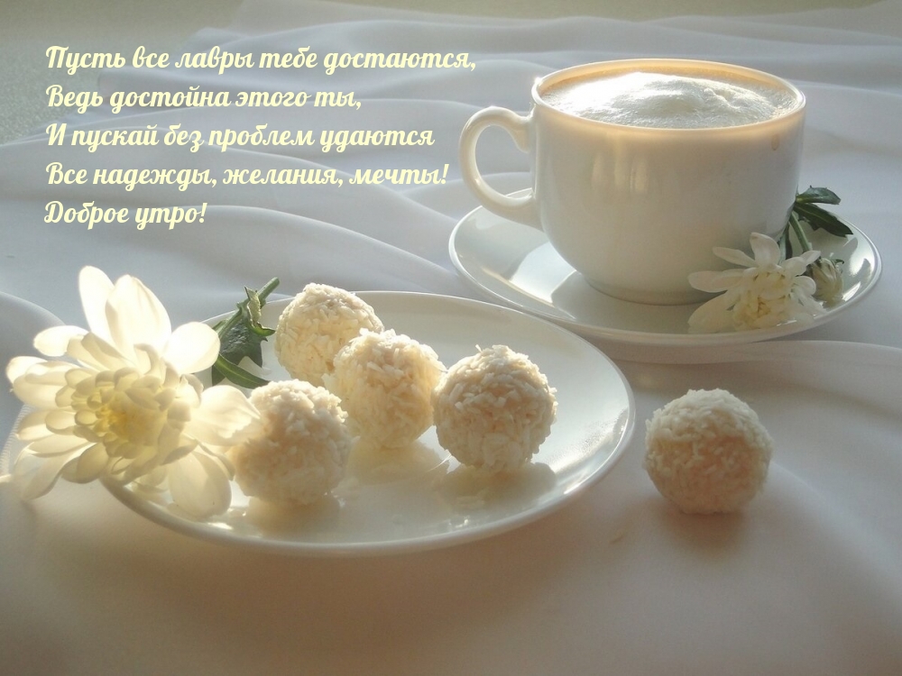 Доброе утро! Пусть все лавры тебе достаются!