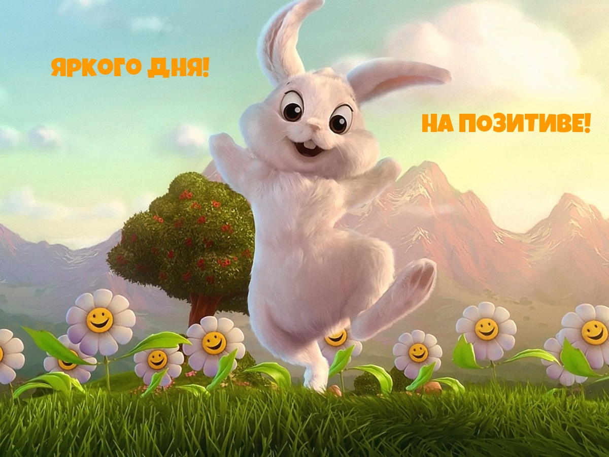 Яркого ДНЯ! На ПОЗИТИВЕ!