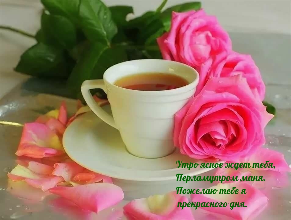 Утро ясное ждет тебя!
