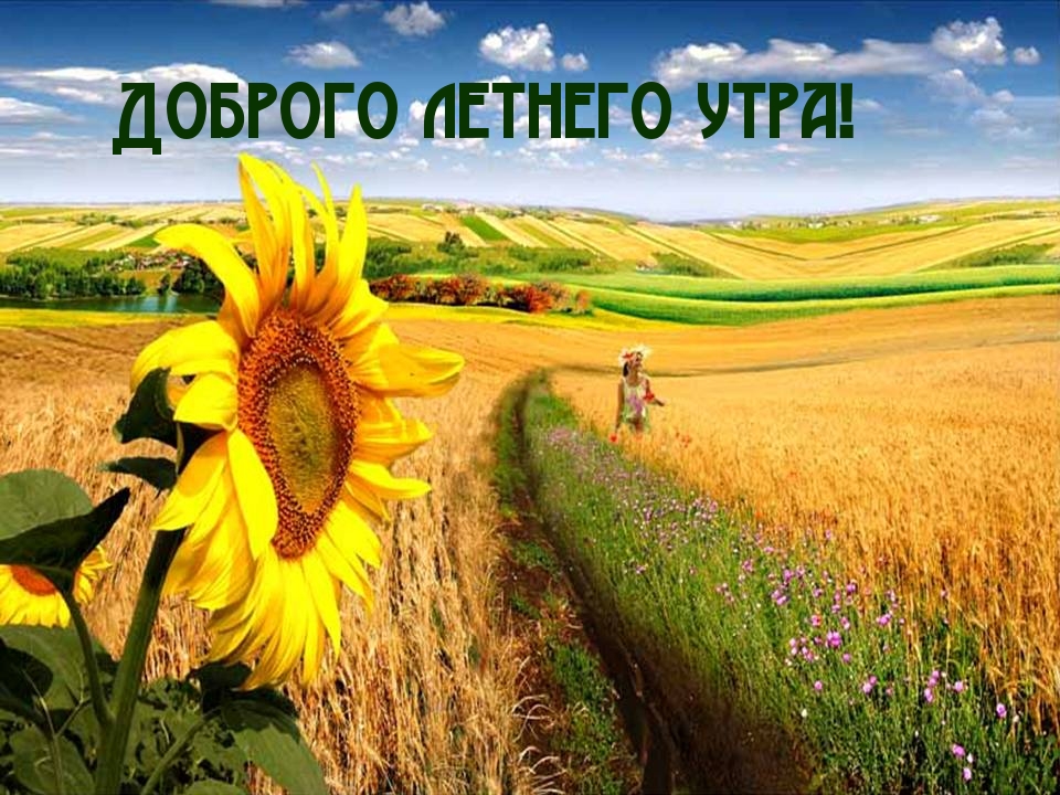 Доброго летнего утра!