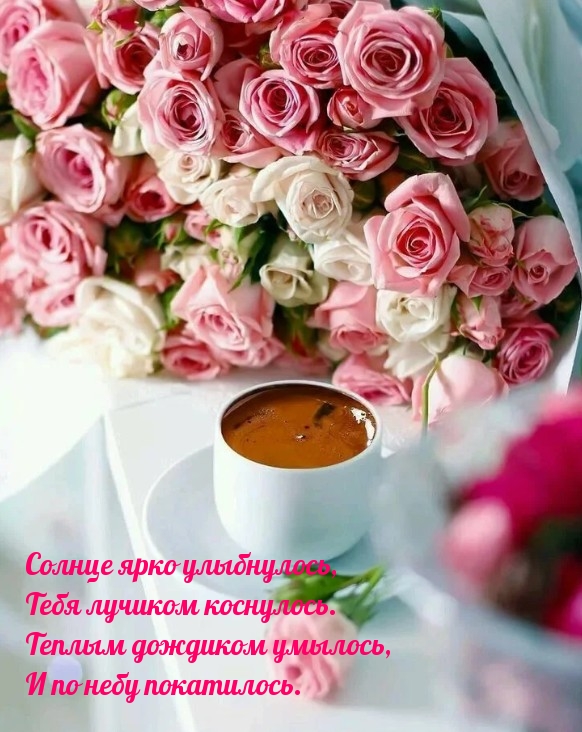 Солнце ярко улыбнулось!