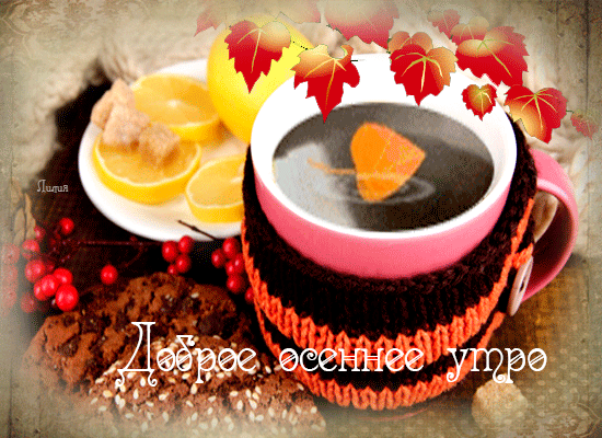 Доброе осеннее утро!