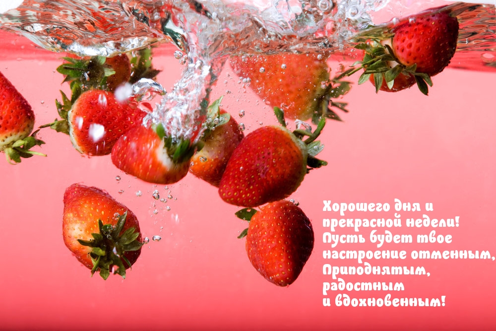 Хорошего дня и прекрасной недели!