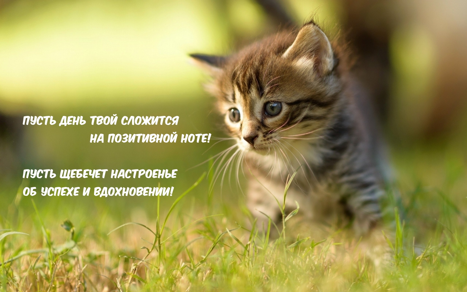 Пусть день твой сложится на позитивной ноте!