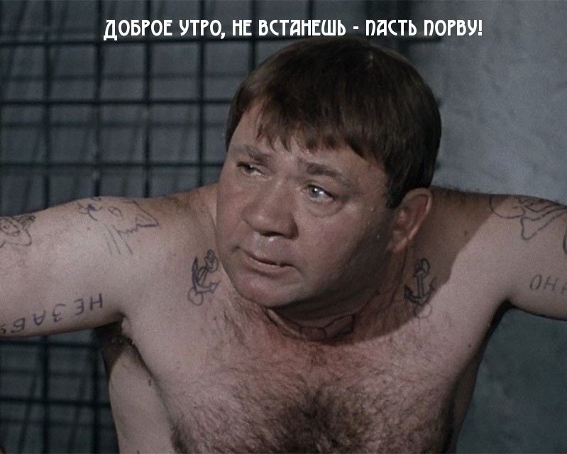 Доброе утро, не встанешь — пасть порву!