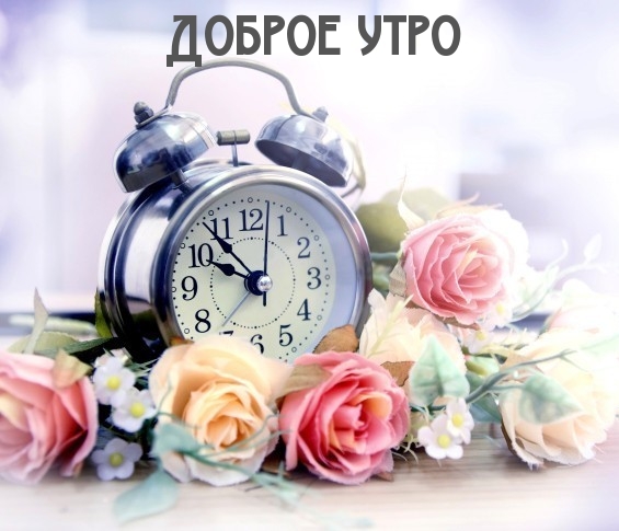 Доброе утро