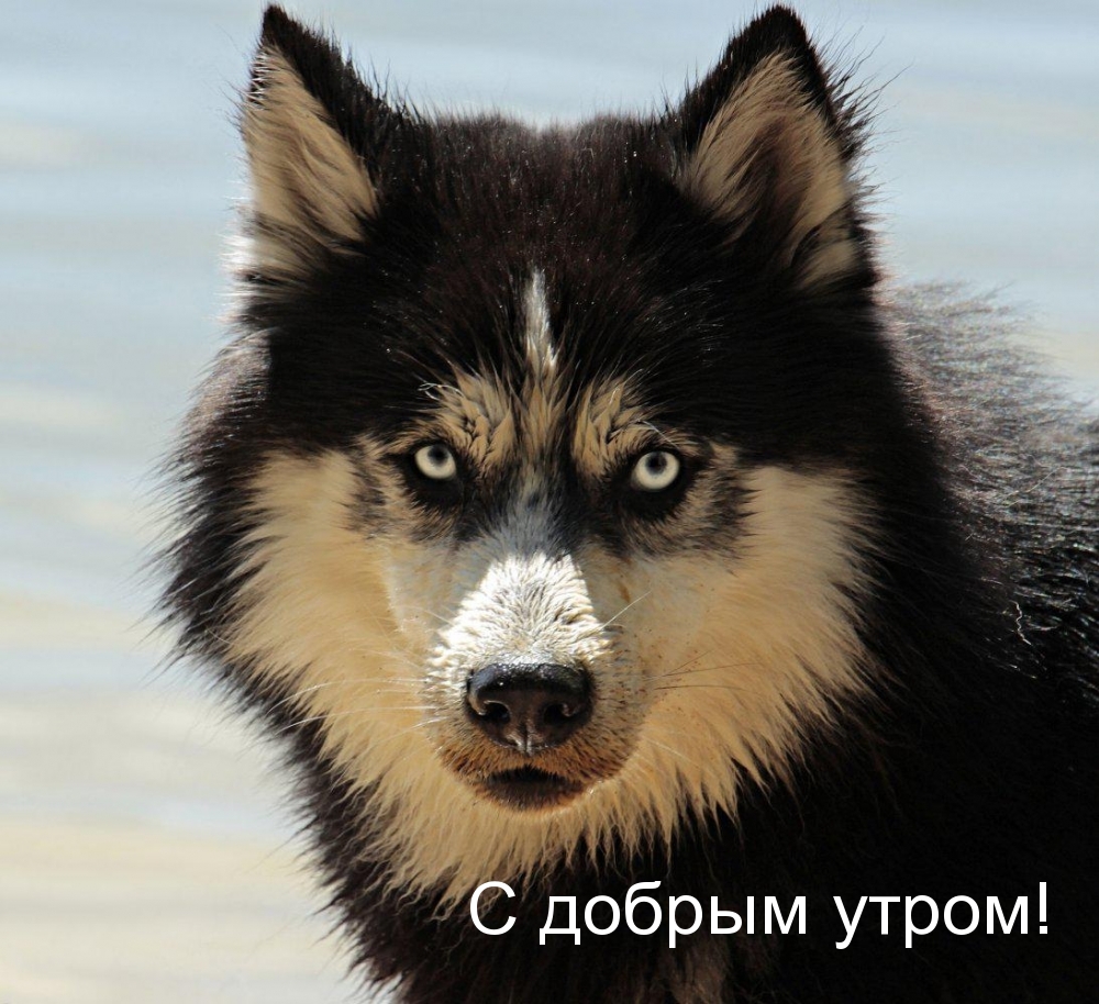С добрым утром!