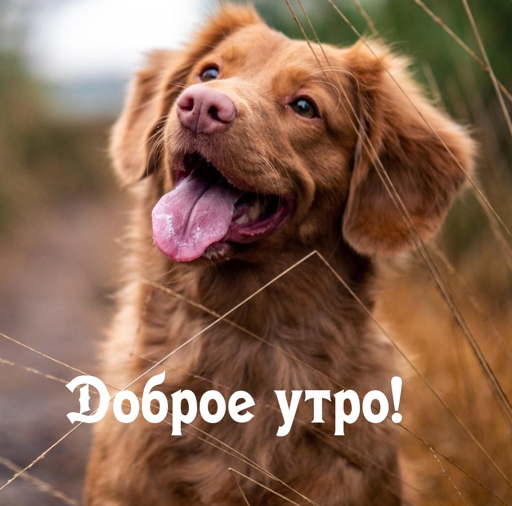 Доброе утро!