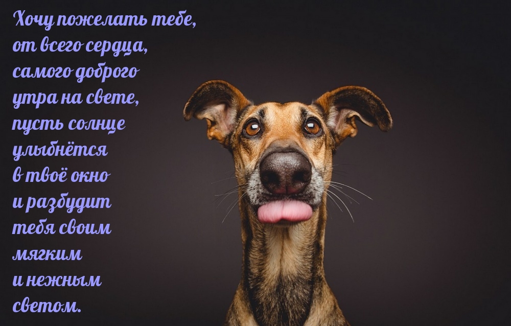 Самого доброго утра на свете!